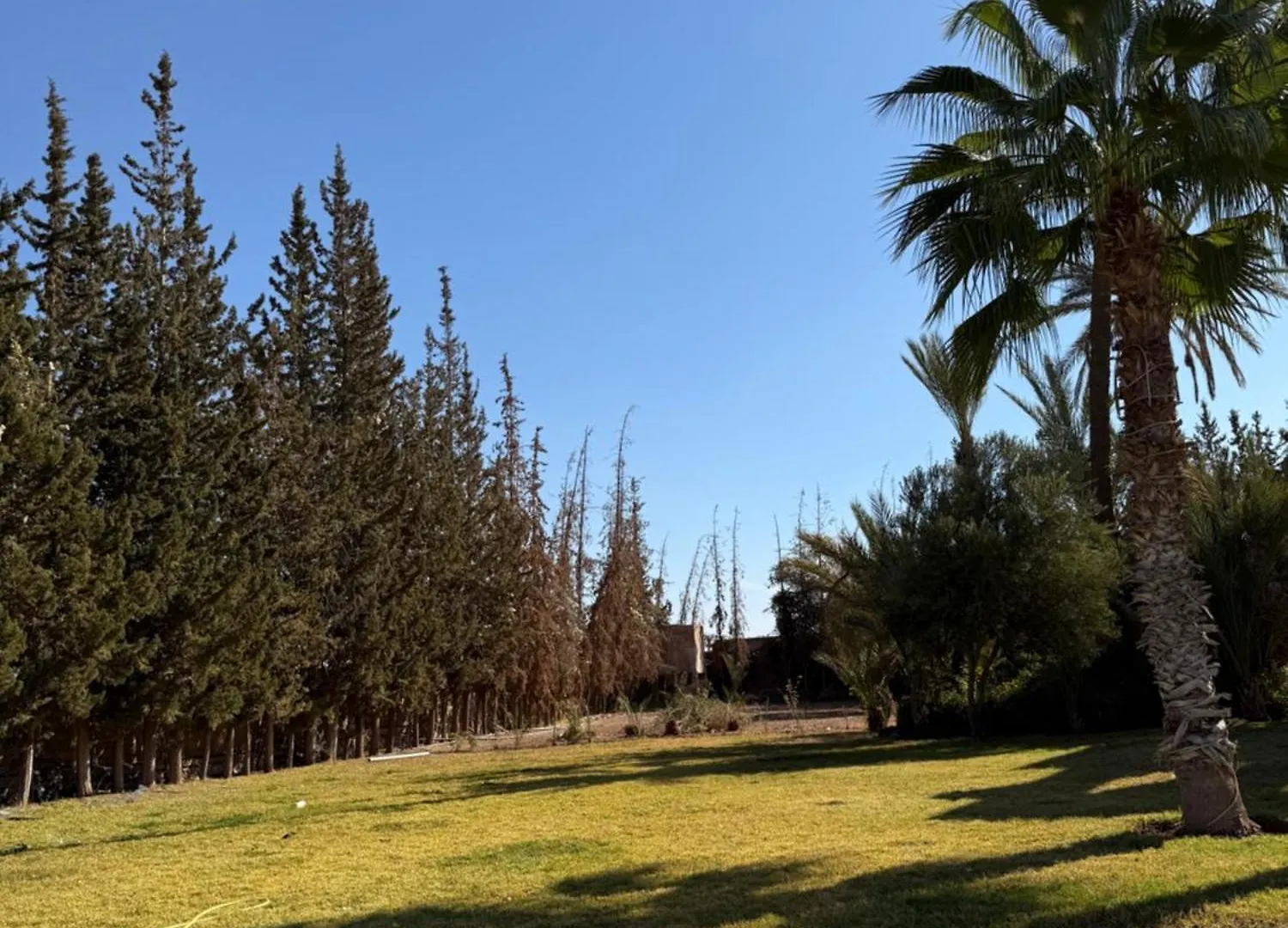 מרקש Villa Palmeraie Piscine Et Domaine Privee